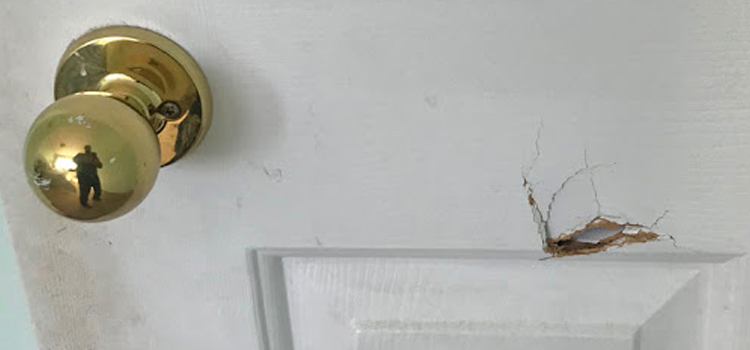 interior door hole repair Las Flores