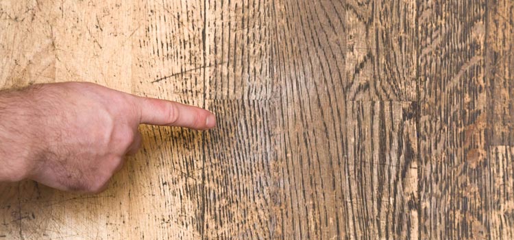 Wood Door Scratch Repair in Las Flores